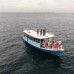 Blue World Dharavandhoo 4* — Баа Атолл, Мальдивы