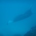 Medhufaru Inn 3* — Южный Мале, Мальдивы
