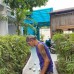 Bon Bon Bungalow, Фукуок: что это за отель