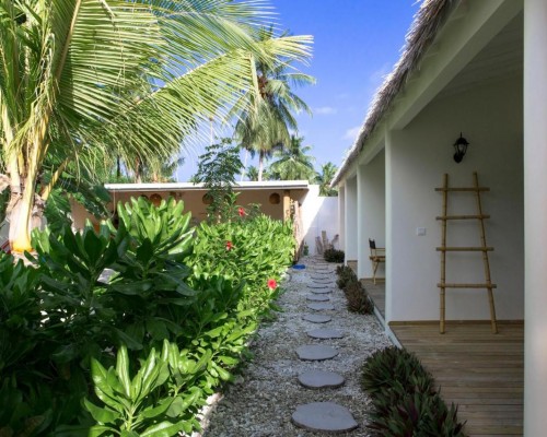 Coco Villa 4* на Ари Атолле (остров Тодду) — честный обзор