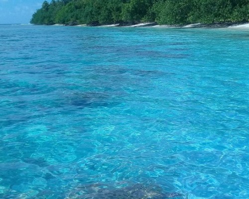 Chill Holiday Maldives 3* — Ари Атолл, Мальдивы