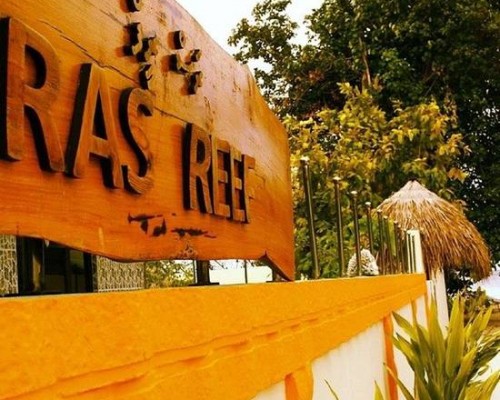 Rasreef Rasdhoo Maldives 3* — отдых на Ари Атолле