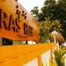 Rasreef Rasdhoo Maldives 3* — отдых на Ари Атолле