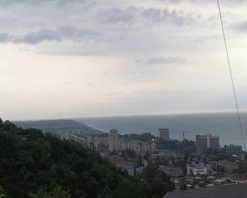 Мини-отель Гнездо Белой совы в Гагре: честный обзор