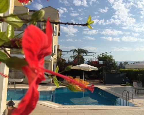Verde Port Hotel 3* в Фетхие: что важно знать перед бронированием