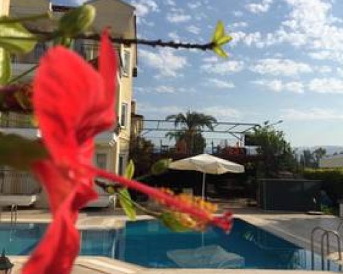 Verde Port Hotel 3* в Фетхие: что важно знать перед бронированием