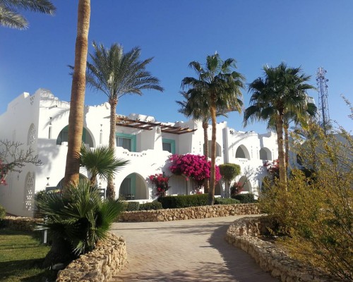 Domina Coral Bay Hotel в Шарм-эль-Шейхе