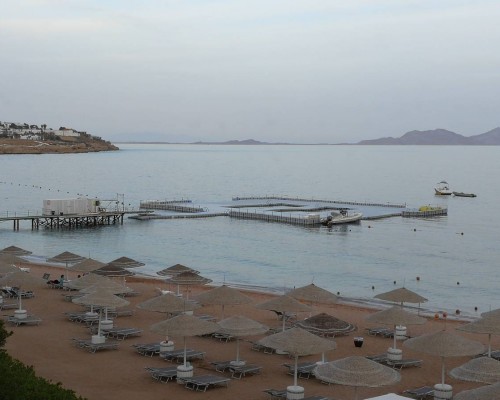 Domina Coral Bay Hotel в Шарм-эль-Шейхе