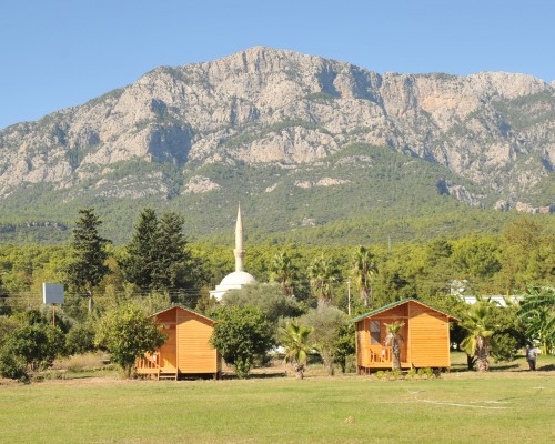 Elamir Beach Bungalow (Кемер, Турция) — взгляд турагента