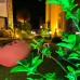 The Mara Suite 3* в Бодруме: подбор тура у персонального агента