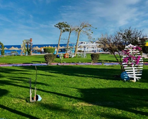 New Eagles Aqua Park Resort 4* в Хургаде: что важно знать перед бронированием