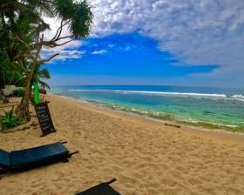 Reef Garden 3* в Хиккадуве — что важно знать перед бронированием