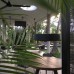 Kaju Green Eco Lodges 5* — эко-отдых в Унаватуне, Шри-Ланка