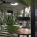 Kaju Green Eco Lodges 5* — эко-отдых в Унаватуне, Шри-Ланка
