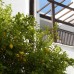 Ece Hotel Bodrum — отдых в Гёльтюрбюку, Бодрум
