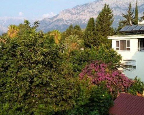 Kemer Star Hotel 3* в Кемере: бюджетный отдых у моря