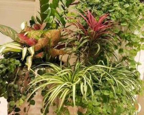 Hong Mai Hotel в Нячанге: честный обзор