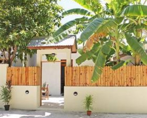 Dhivehi Experience, Ари Атолл: честный обзор без прикрас