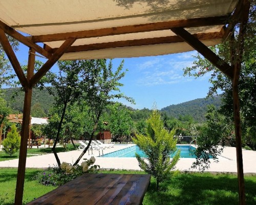 Olive Garden Pansiyon 3* в Кемере: подбор тура