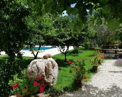 Olive Garden Pansiyon 3* в Кемере: подбор тура