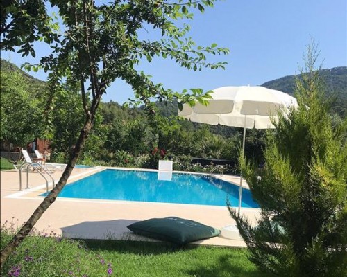 Olive Garden Pansiyon 3* в Кемере: подбор тура