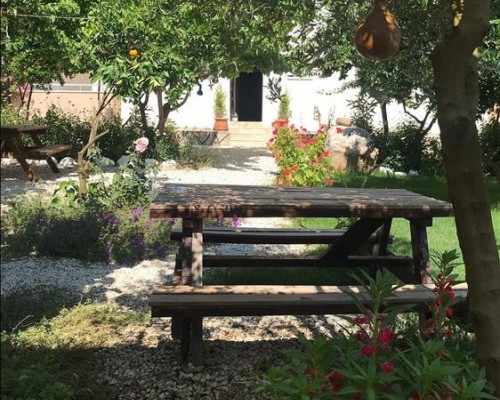 Olive Garden Pansiyon 3* в Кемере: подбор тура