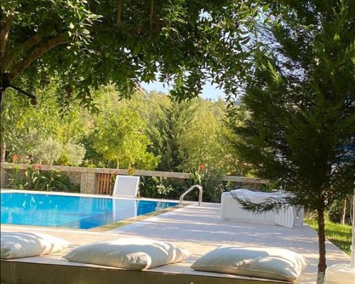 Olive Garden Pansiyon 3* в Кемере: подбор тура