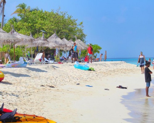 Gurus Maldives на Маафуши: честный обзор гостевого дома