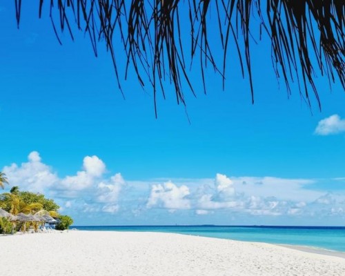 Gurus Maldives на Маафуши: честный обзор гостевого дома