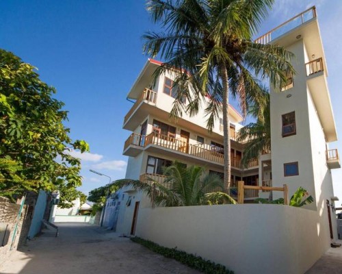 Tropic Tree Maldives 3* на Маафуши: что важно знать перед бронированием