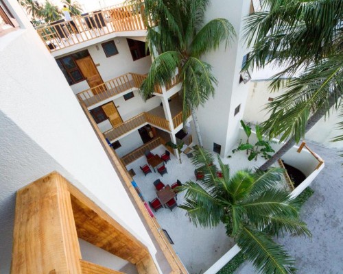 Tropic Tree Maldives 3* на Маафуши: что важно знать перед бронированием