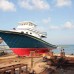 Tropic Tree Maldives 3* на Маафуши: что важно знать перед бронированием