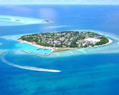 Rasdhoo Dive and Water Sports — отель 3* на острове Расду, Ари Атолл