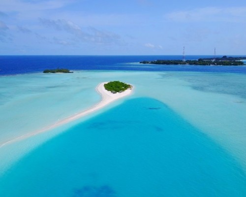 Rasdhoo Dive and Water Sports — отель 3* на острове Расду, Ари Атолл