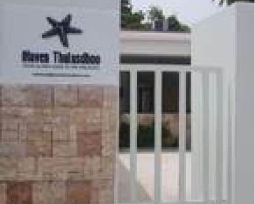 iHaven Thulusdhoo — бюджетный гестхаус на Северном Мале