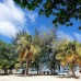 Hibiscus Holidays — Южный Мале, атолл Каафу (Гули)