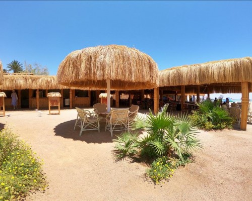 Royal Regency Club 5* в Шарм-эль-Шейхе