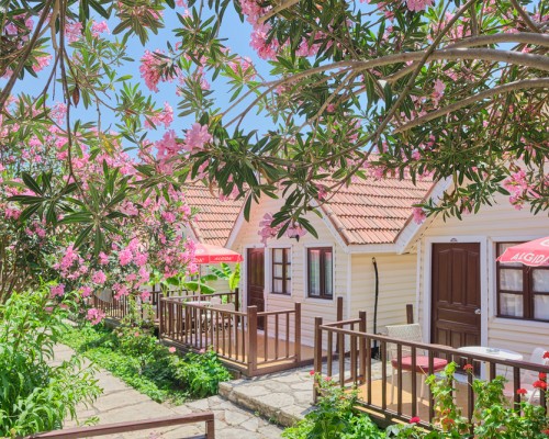 Clover Magic Nova Beach Hotel 3* в Сиде: взгляд турагента