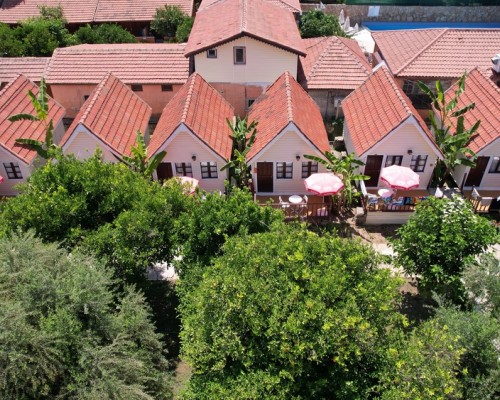 Clover Magic Nova Beach Hotel 3* в Сиде: взгляд турагента