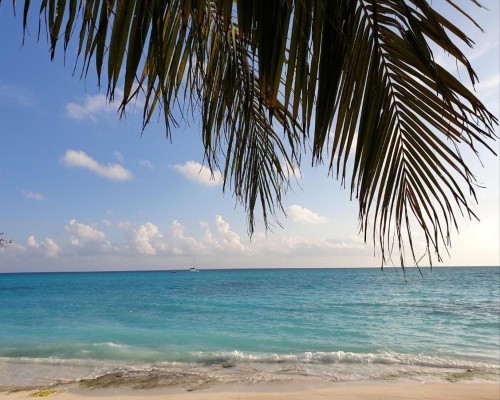 Island Luxury Fulhadhoo Boutique Hotel, Баа Атолл