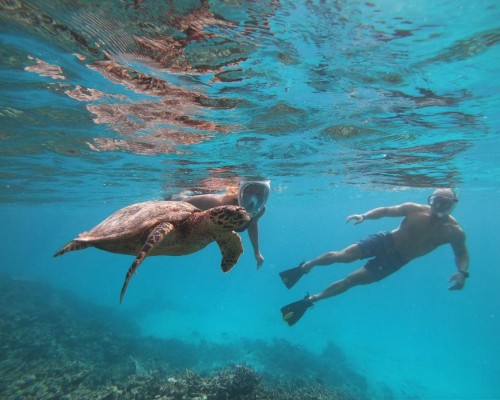 Isla Dhiffushi 4* — гостевая вилла на острове Диффуши, Мальдивы