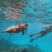 Isla Dhiffushi 4* — гостевая вилла на острове Диффуши, Мальдивы