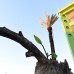 Отель Green Life 4* в Кестеле: честный обзор от турагента