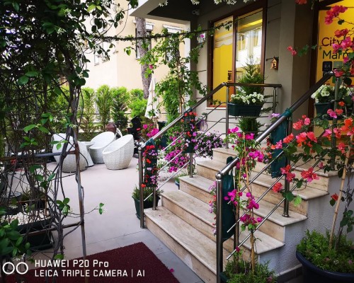 Almena City Hotel 3* (Мармарис): честный обзор от турагента