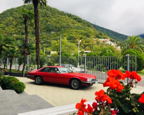 Sunrise Garden Hotel 3* в Гагре: честный обзор отеля