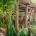 Oaga Art Resort 5* на Северном Мале: что важно знать перед бронированием