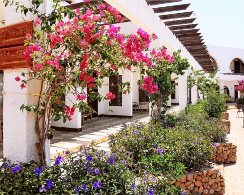 Aida Hotel 3* в Шарм-эль-Шейхе