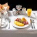 Gravity Hotel Abu Dhabi 3* — Абу-Даби, ОАЭ