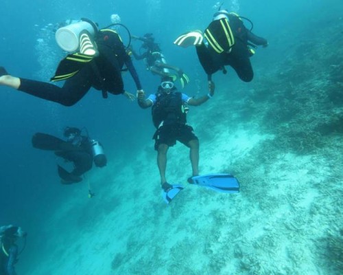 Scuba Inn 3* — Ари Атолл, остров Омаду