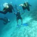 Scuba Inn 3* — Ари Атолл, остров Омаду